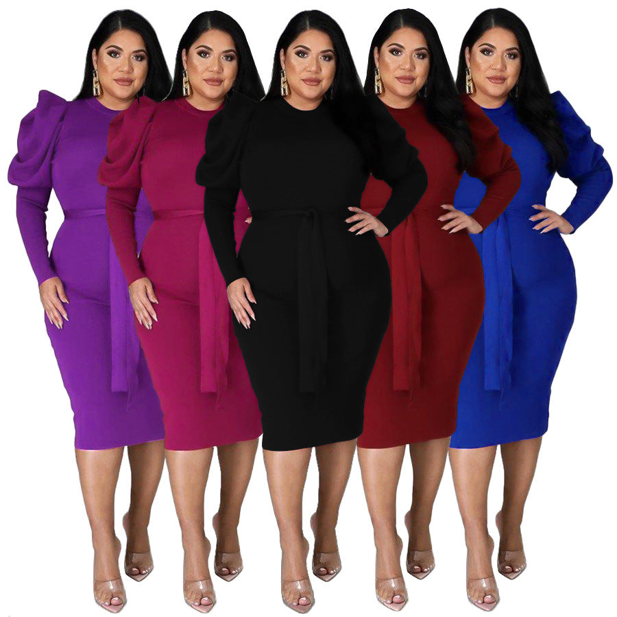 Women's Slim Fit Plus Size Dress